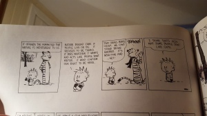 Calvin why people don't like cats